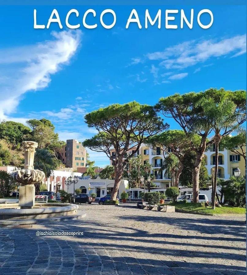 Casa Neval Lacco Ameno Lägenhet Lacco Ameno  Exteriör bild